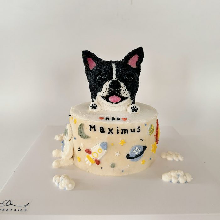 Portrait Cake D - Image 5
